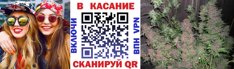 Купить закладку ГАШ  Амфетамин  COCAIN  A PVP  Меф мяу мяу  Конопля  Краснознаменск