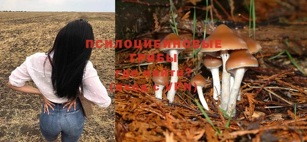 jwh Заволжье