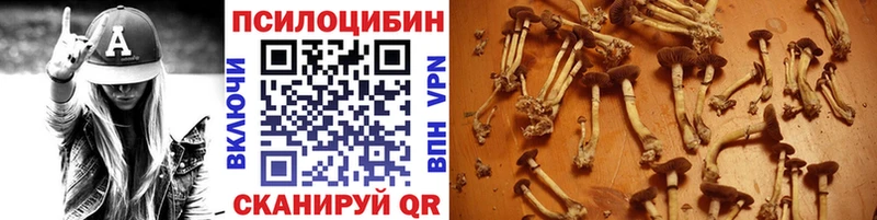 Галлюциногенные грибы MAGIC MUSHROOMS  Купить где  Краснознаменск 